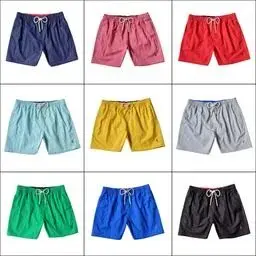 Pony label embroidered three-point pants quick-drying waterproof men's summer swimming trunks beach pants are high-quality cross-border exclusive