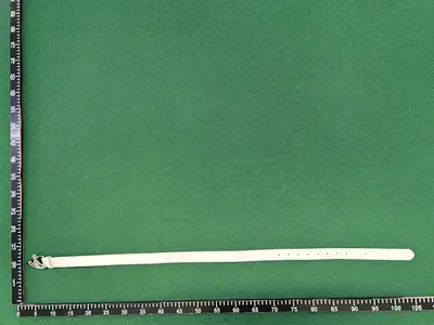 BalticReps sheet columns F and G